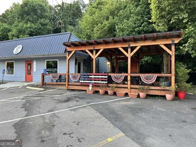 Coosawattee River - Gilmer County Commercial For Sale in Ellijay Georgia