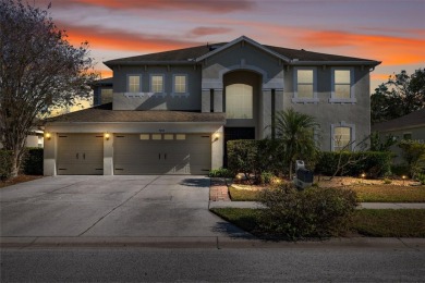 Lake Home For Sale in Land O Lakes, Florida