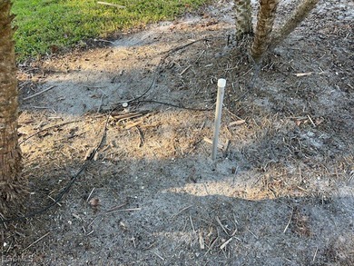 This north facing concrete lot with added pavers on the side - photo 11