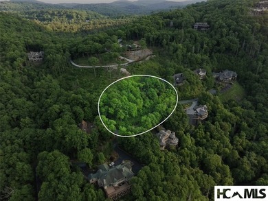 PRIME VIEW home site on 0.8 acres, high atop the Old Edwards - photo 11