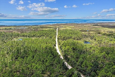 This expansive 81.58-acre property offers a unique blend of - photo 1