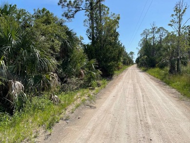 This expansive 81.58-acre property offers a unique blend of - photo 3