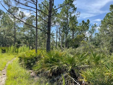 This expansive 81.58-acre property offers a unique blend of - photo 5
