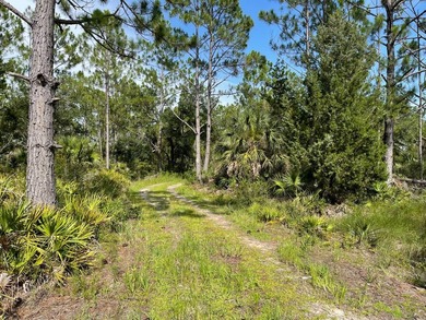 This expansive 81.58-acre property offers a unique blend of - photo 6