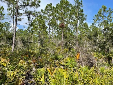 This expansive 81.58-acre property offers a unique blend of - photo 7