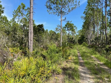 This expansive 81.58-acre property offers a unique blend of - photo 8