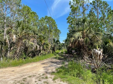This expansive 81.58-acre property offers a unique blend of - photo 9