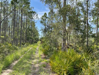 This expansive 81.58-acre property offers a unique blend of - photo 10