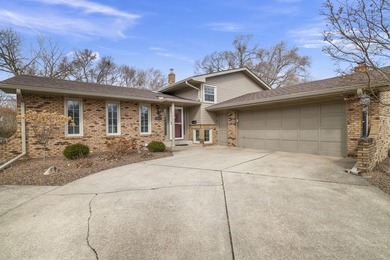 (private lake, pond, creek) Home For Sale in Munster Indiana