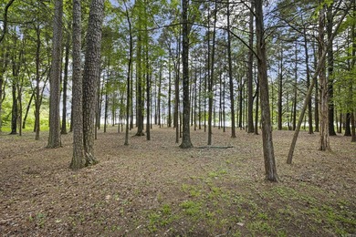 WATERFRONT PROPERTY WITH BOAT DOCK! Experience peaceful country - photo 42
