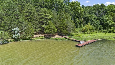 WATERFRONT PROPERTY WITH BOAT DOCK! Experience peaceful country - photo 46