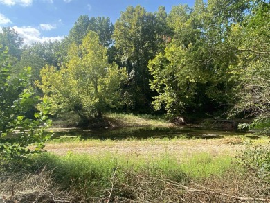 Get your lot near the Southfork of the Ouachita River! This lot - photo 6