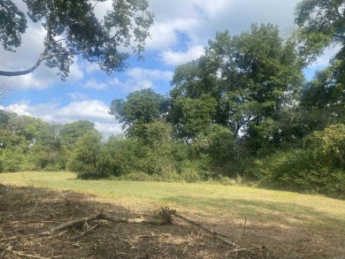 Get your lot near the Southfork of the Ouachita River! This lot - photo 9
