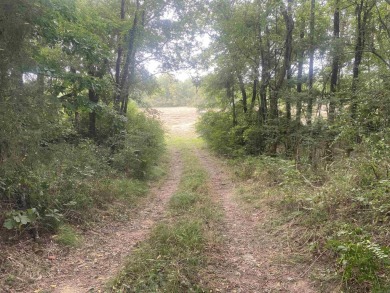 Ouachita River - Garland County Acreage For Sale in Story Arkansas