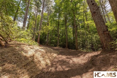 A 1.02-acre homesite in Lake Toxaway Estates, set within one of - photo 11