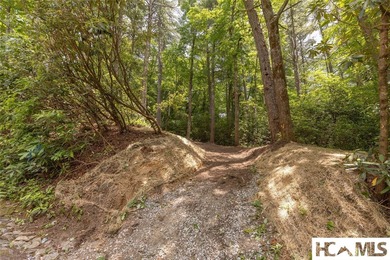 A 1.02-acre homesite in Lake Toxaway Estates, set within one of - photo 12