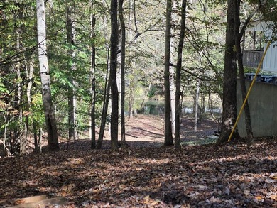 Are you thinking of a gentle almost Level lot... with seasonal - photo 2