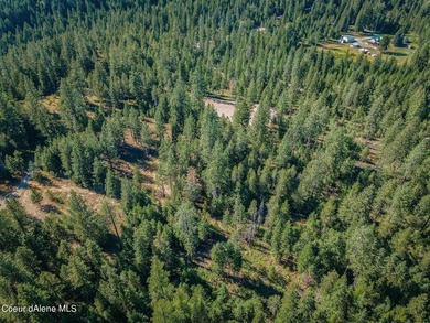 Owner Financing Available! Stunning 5 Acres in Kelso Lake - photo 14