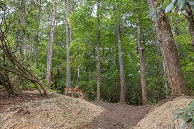 A 1.02-acre homesite in Lake Toxaway Estates, set within one of - photo 14