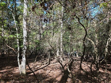 Are you thinking of a gentle almost Level lot... with seasonal - photo 6