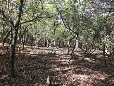 Are you thinking of a gentle almost Level lot... with seasonal - photo 7