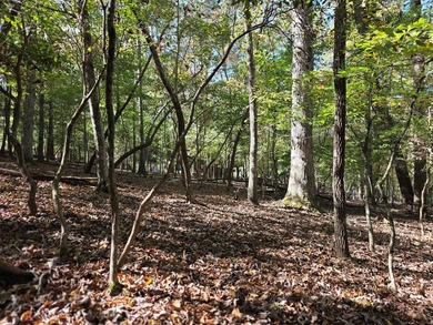 Are you thinking of a gentle almost Level lot... with seasonal - photo 8