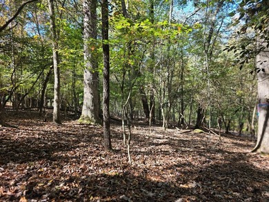 Are you thinking of a gentle almost Level lot... with seasonal - photo 9