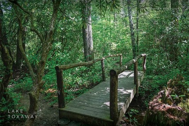 A 1.02-acre homesite in Lake Toxaway Estates, set within one of - photo 35