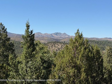 Additional listing photo 4