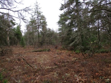 Lake Acreage Sale Pending in Grayling, Michigan