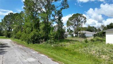 Lake Marion - Polk County Lot For Sale in Kissimmee Florida