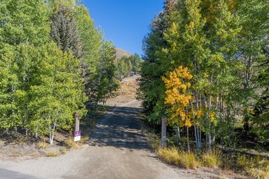 Escape to your own private Idaho. 8.84-acre retreat with a - photo 2