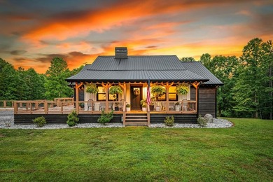 Lake Home For Sale in Morganton, Georgia
