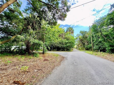 Withlacoochee River Lot For Sale in Inglis Florida