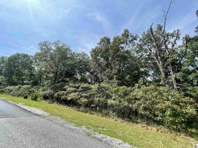 Lake Acreage For Sale in Murray, Kentucky