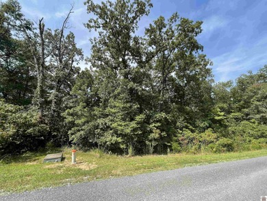 Lake Acreage For Sale in Murray, Kentucky