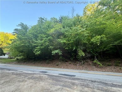 51 acres with endless possibilities! This unique property - photo 11