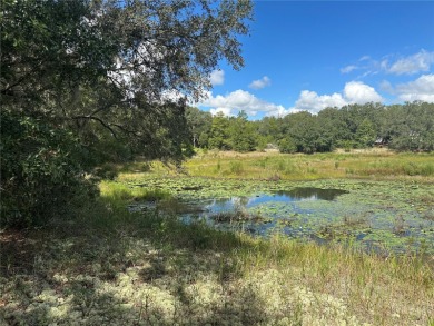 Lake Lot For Sale in Interlachen, Florida