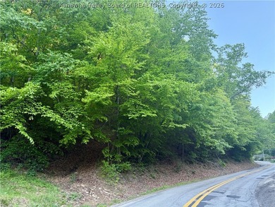 51 acres with endless possibilities! This unique property - photo 15