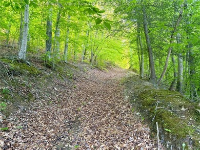 51 acres with endless possibilities! This unique property - photo 18