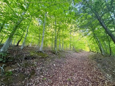 51 acres with endless possibilities! This unique property - photo 19