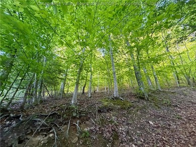 51 acres with endless possibilities! This unique property - photo 21