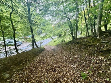 51 acres with endless possibilities! This unique property - photo 22