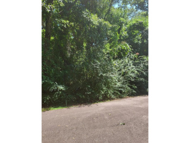 Lake Hide-A-Way Lot For Sale in Carriere Mississippi