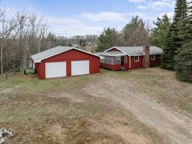Lake Home For Sale in Wolverine, Michigan