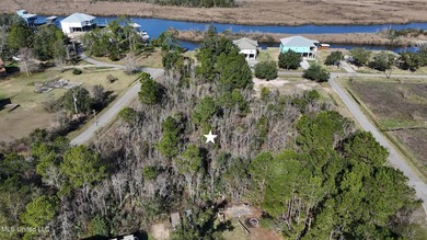 Great half acre parcel in Shoreline Estates is ready for your - photo 1