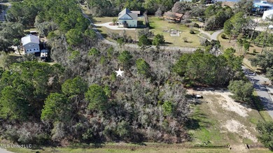 Great half acre parcel in Shoreline Estates is ready for your - photo 2