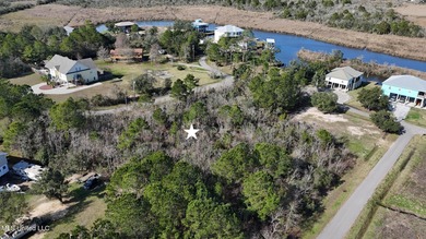 Great half acre parcel in Shoreline Estates is ready for your - photo 4