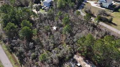 Great half acre parcel in Shoreline Estates is ready for your - photo 5