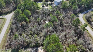 Great half acre parcel in Shoreline Estates is ready for your - photo 6
